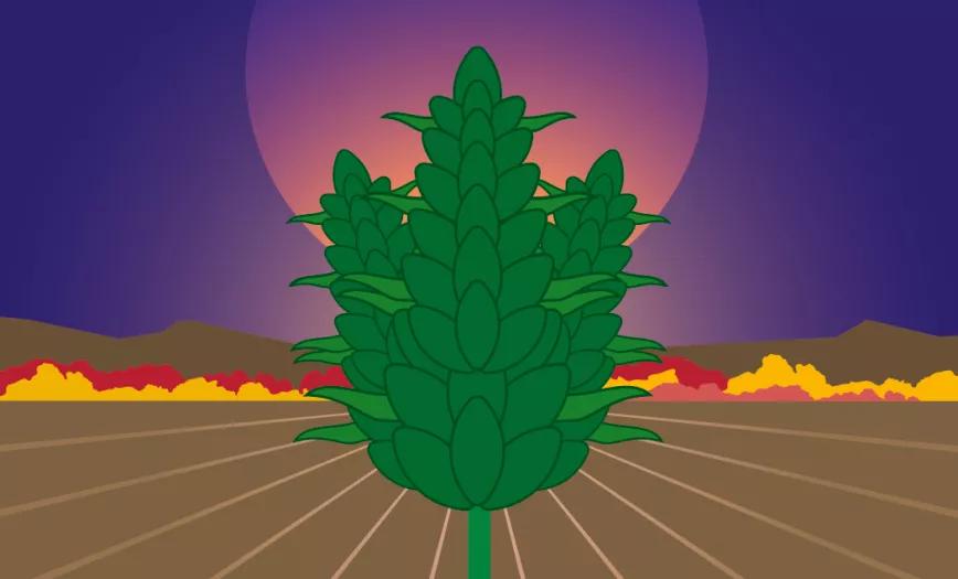 Imagen sin descripción