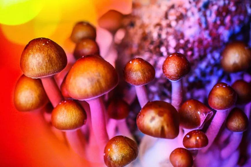 Imagen sin descripción