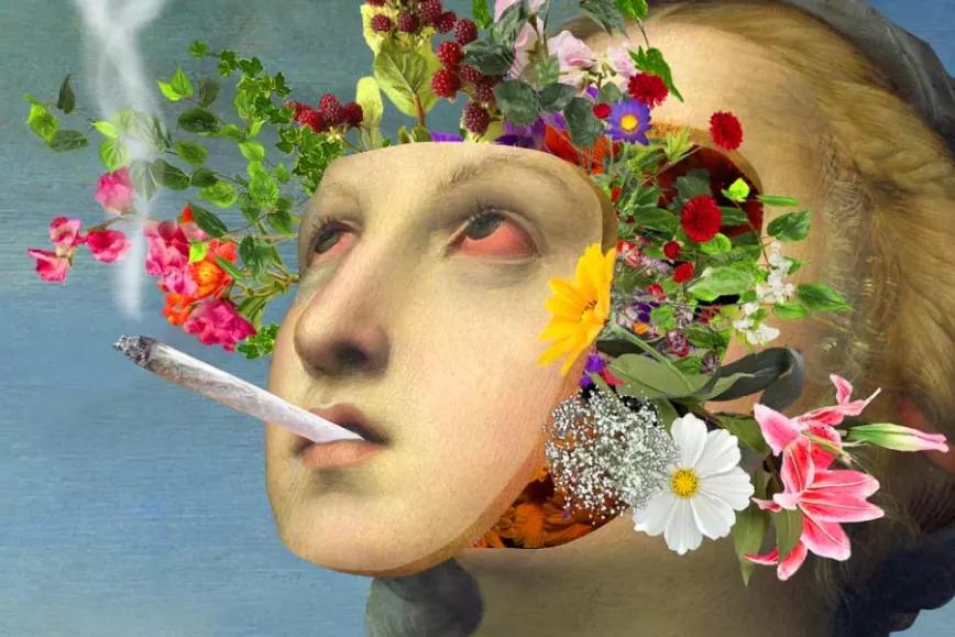 Imagen sin descripción