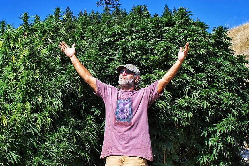 Imagen sin descripción