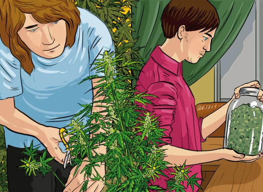 Imagen sin descripción