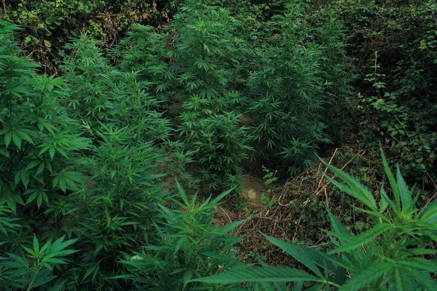 Imagen sin descripción