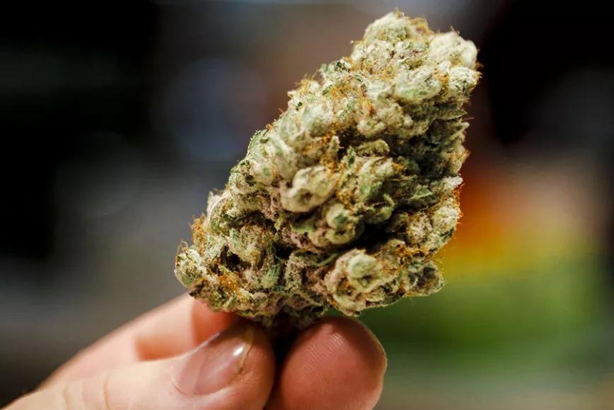 Imagen sin descripción