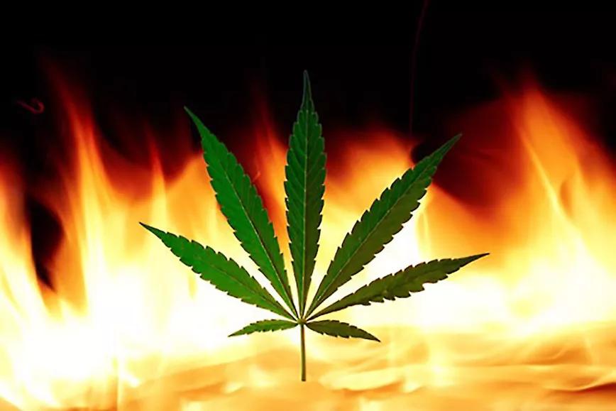 Imagen sin descripción