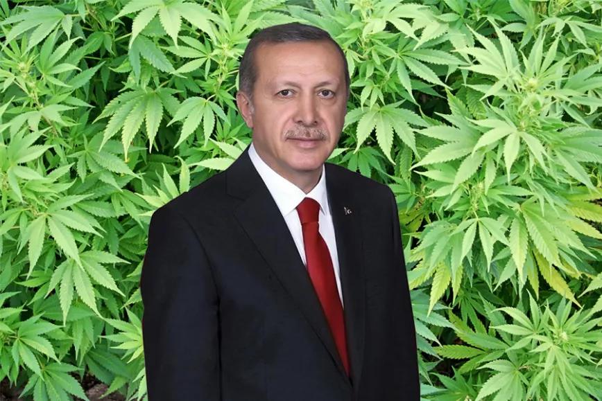 Imagen sin descripción