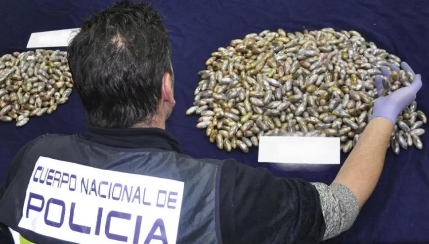 Imagen sin descripción