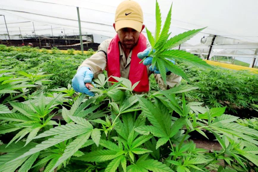 Imagen sin descripción