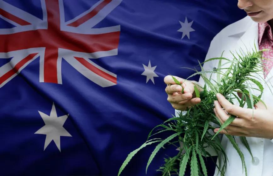 Imagen sin descripción