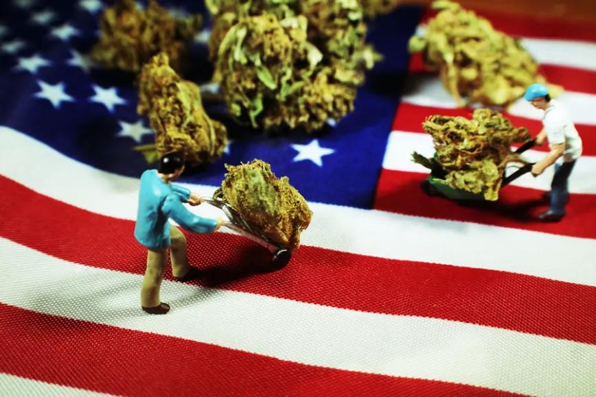 Imagen sin descripción