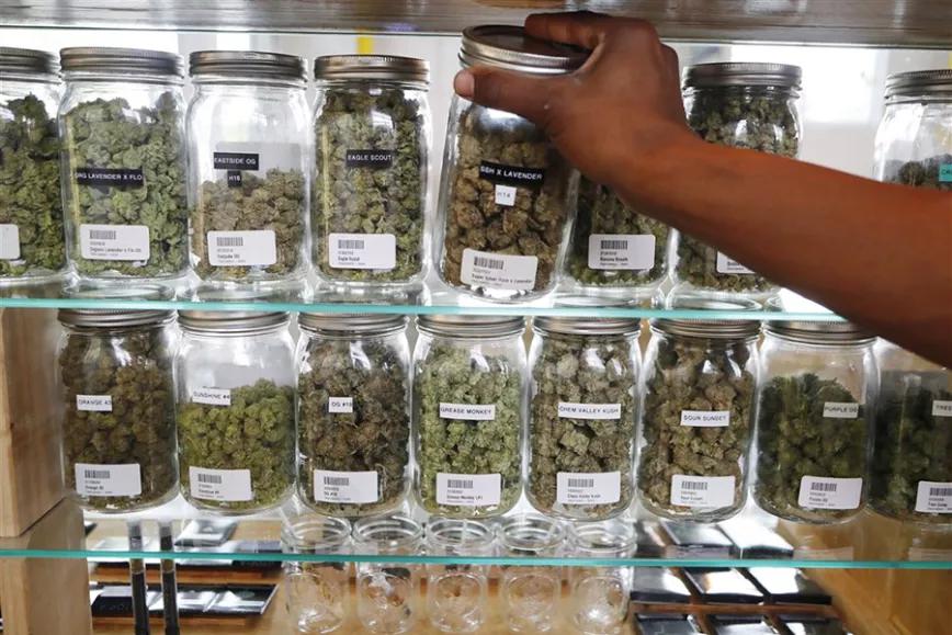 Imagen sin descripción