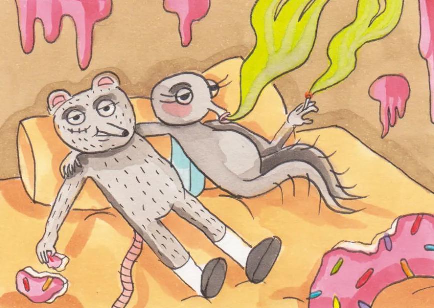 Imagen sin descripción