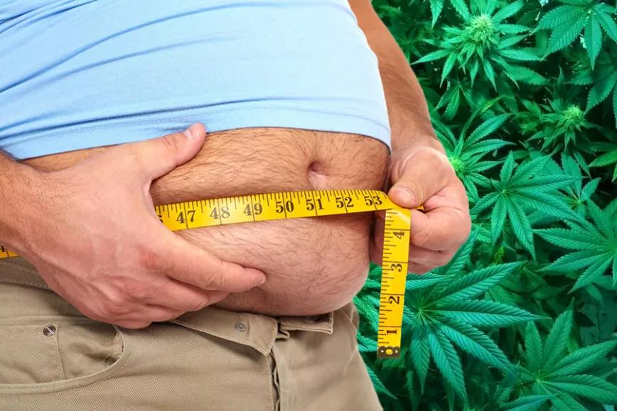 Imagen sin descripción