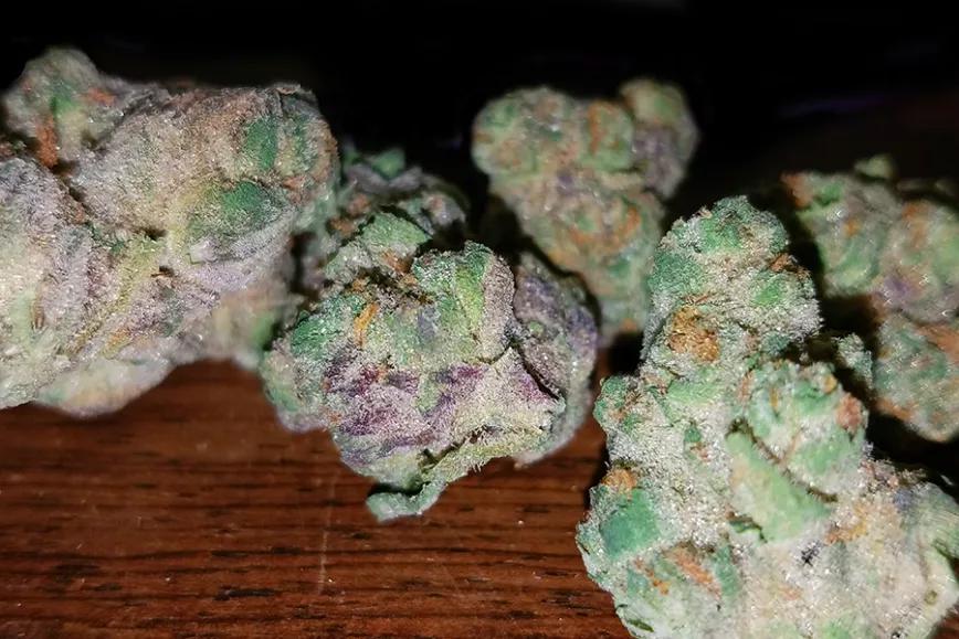 Imagen sin descripción