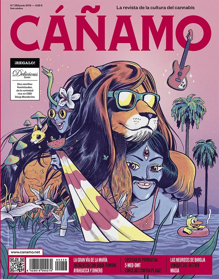 Imagen sin descripción