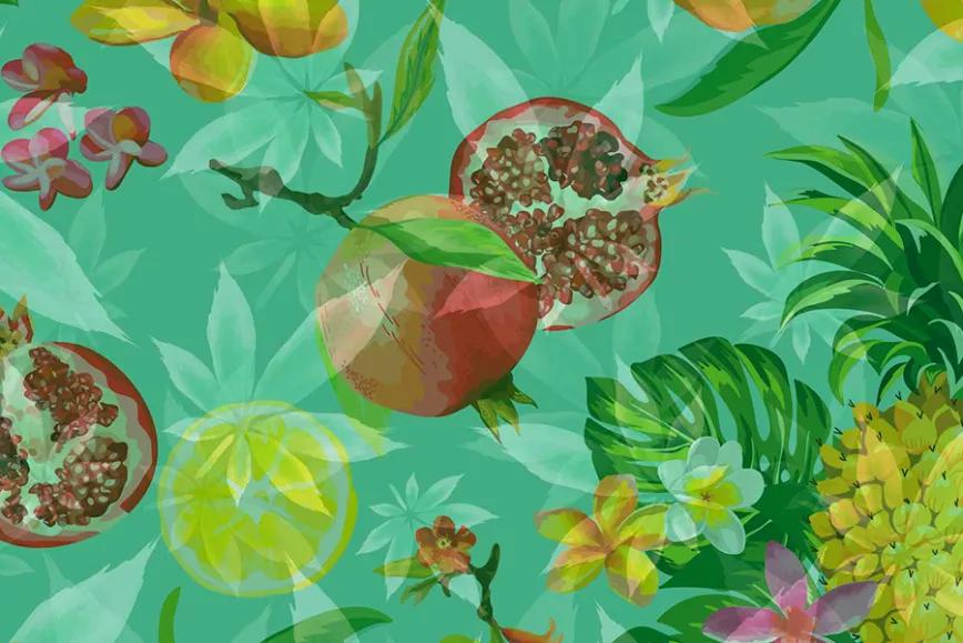 Imagen sin descripción