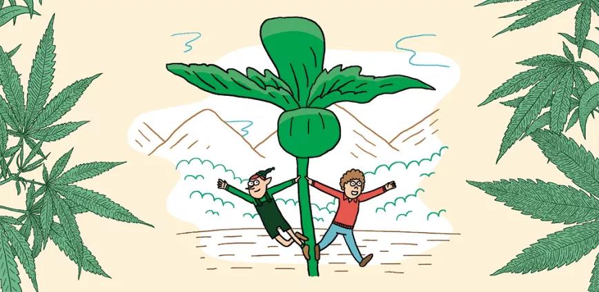 Imagen sin descripción