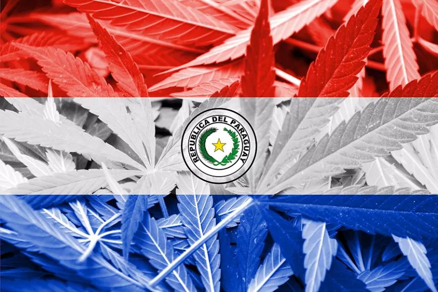 Imagen sin descripción