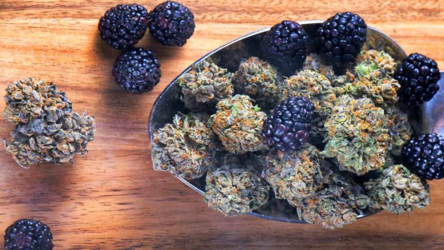 Imagen sin descripción