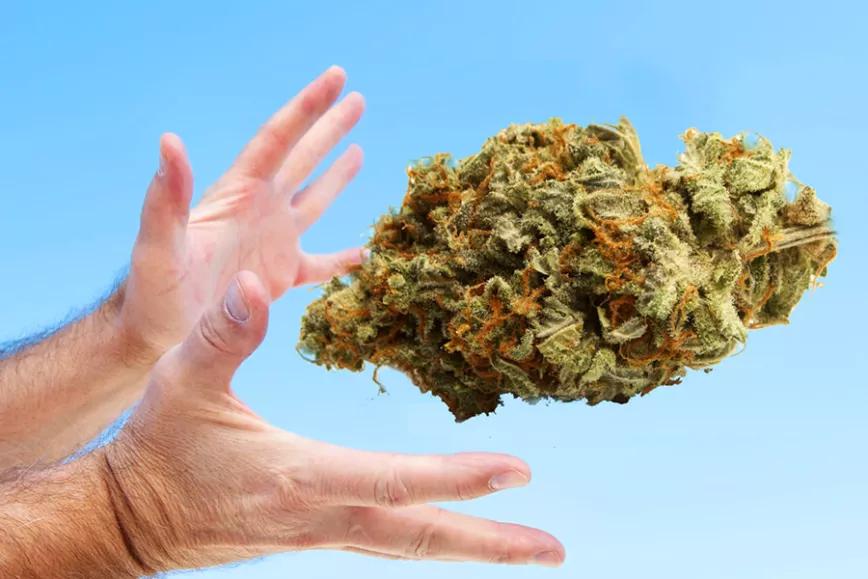 Imagen sin descripción