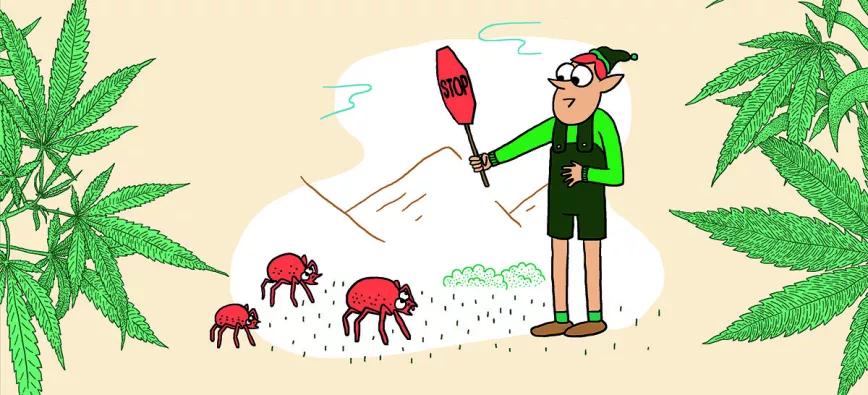 Imagen sin descripción