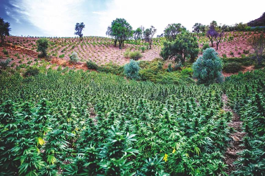 Imagen sin descripción