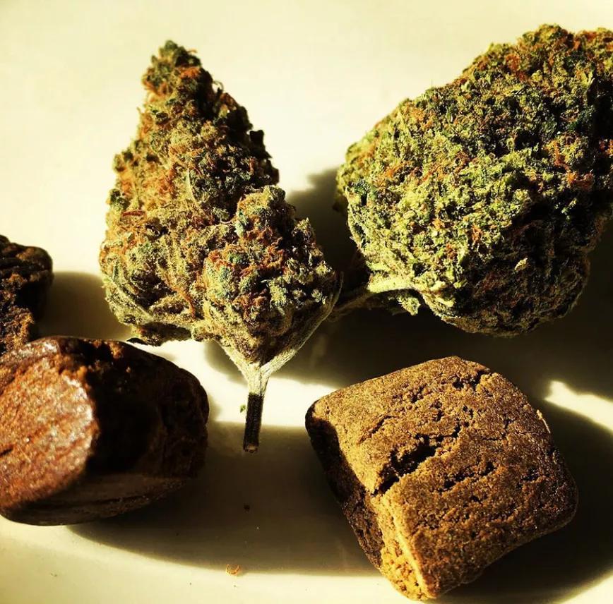 Imagen sin descripción