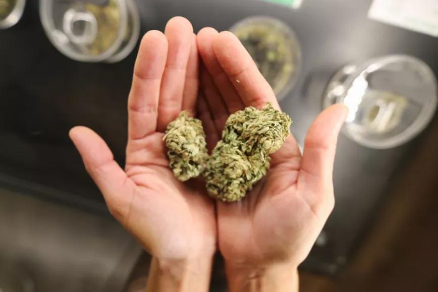 Imagen sin descripción