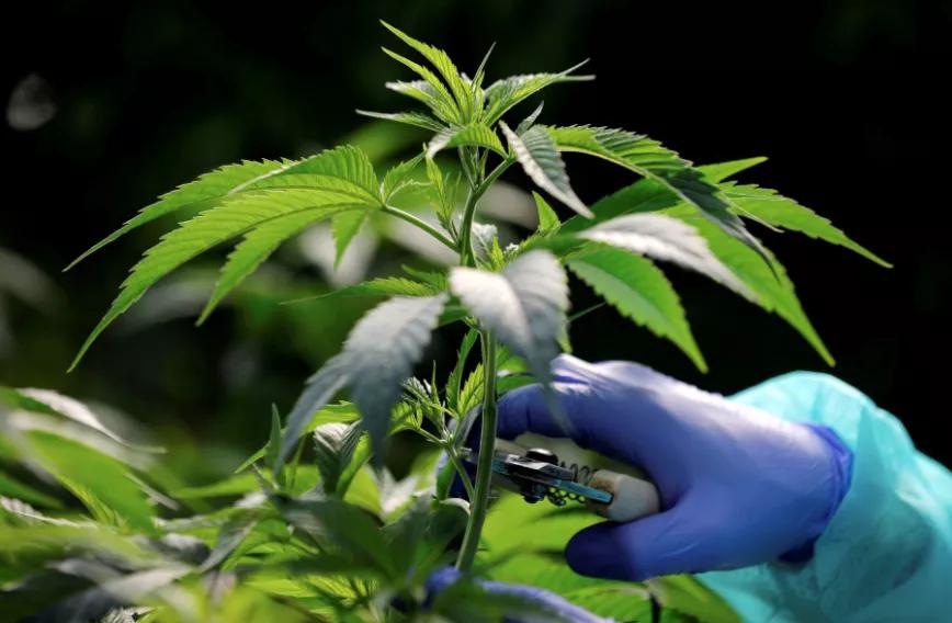 Imagen sin descripción