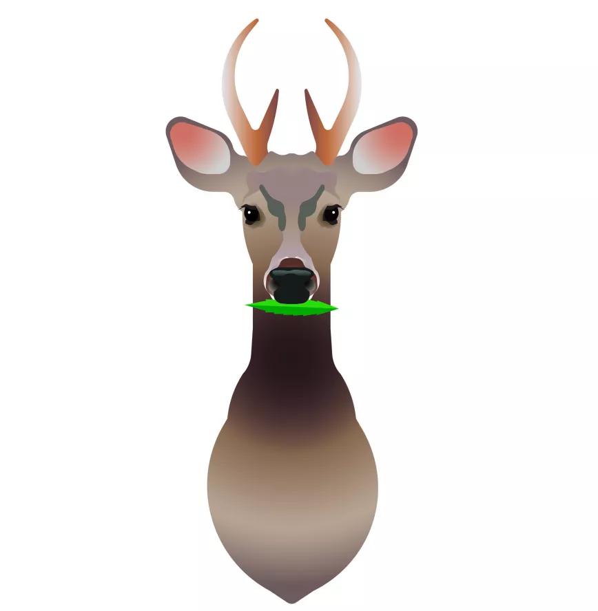 Imagen sin descripción