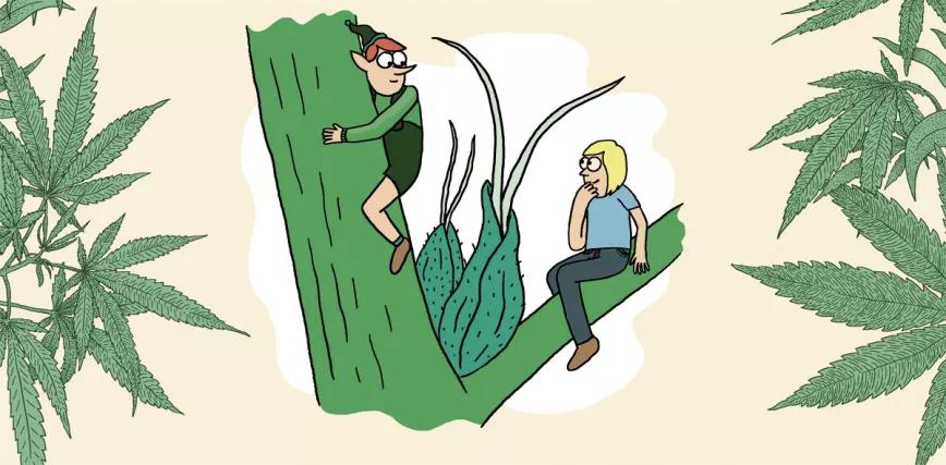 Imagen sin descripción