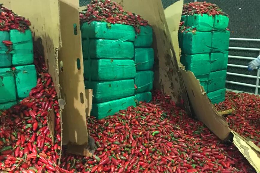 Imagen sin descripción