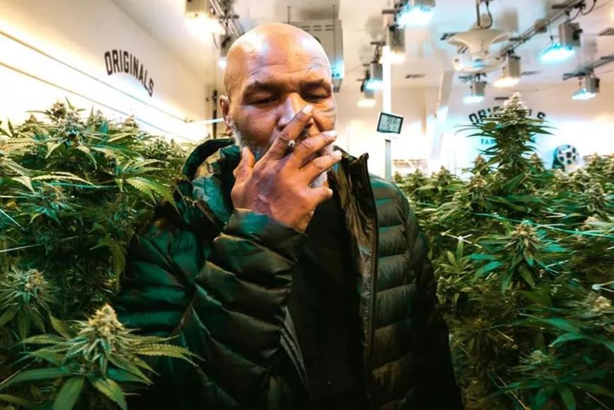 Imagen sin descripción