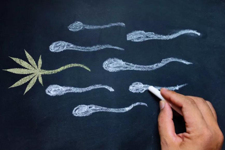 Imagen sin descripción