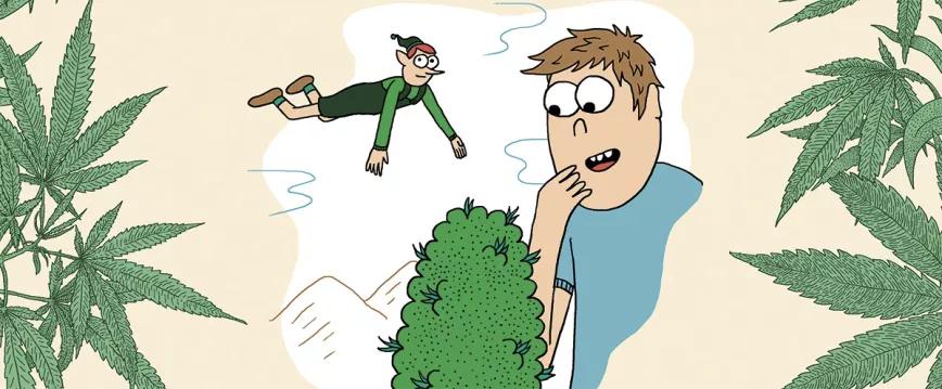 Imagen sin descripción