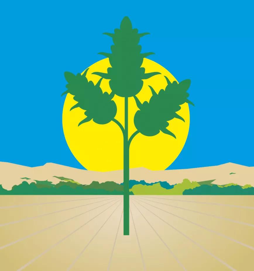 Imagen sin descripción