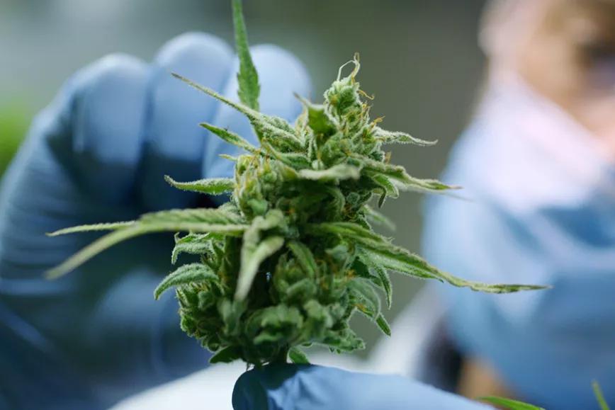 Imagen sin descripción