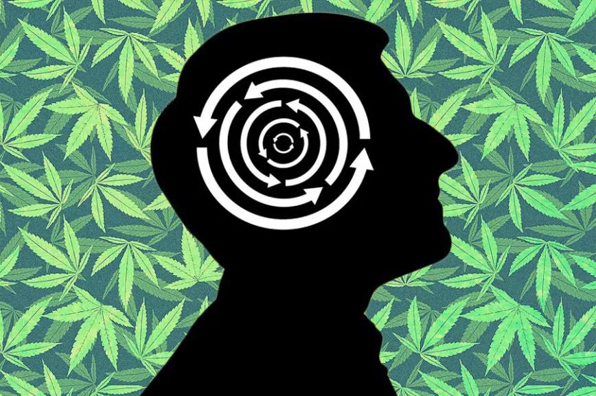 Imagen sin descripción