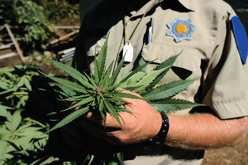 Imagen sin descripción