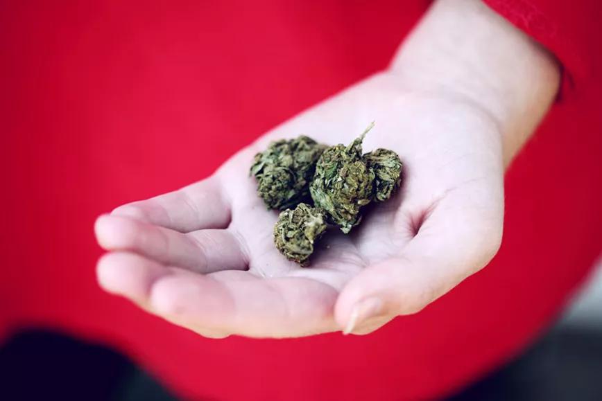 Imagen sin descripción