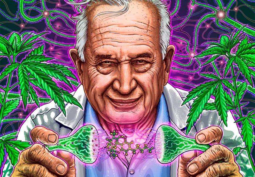 Imagen sin descripción