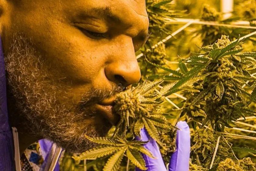 Imagen sin descripción