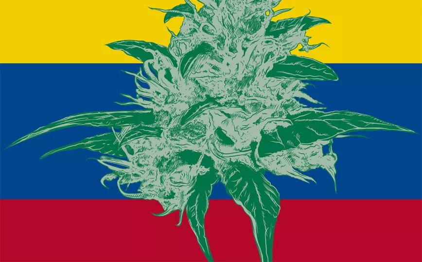 Imagen sin descripción