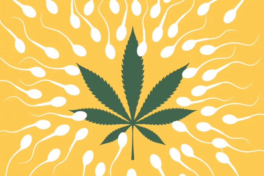 Imagen sin descripción