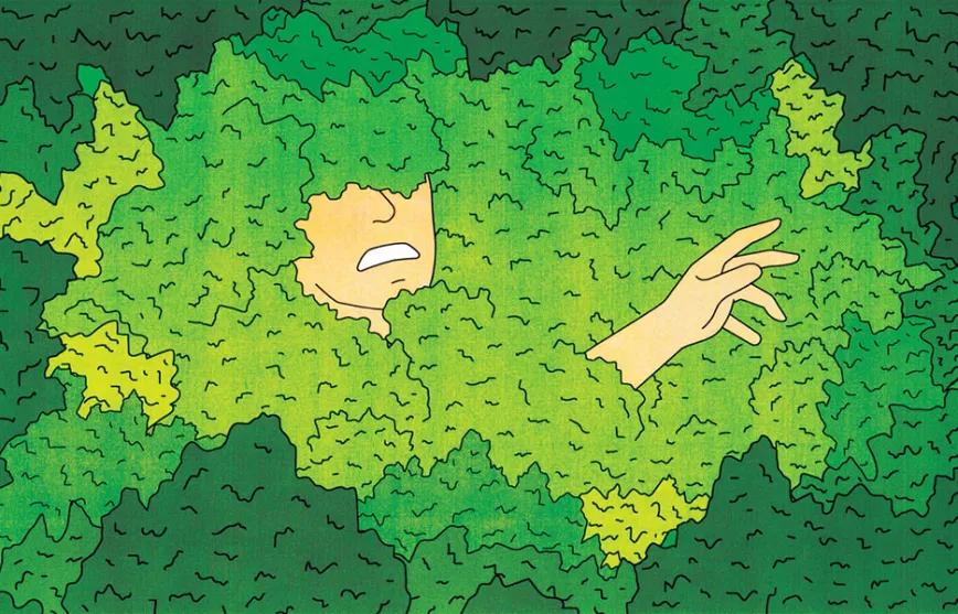 Imagen sin descripción