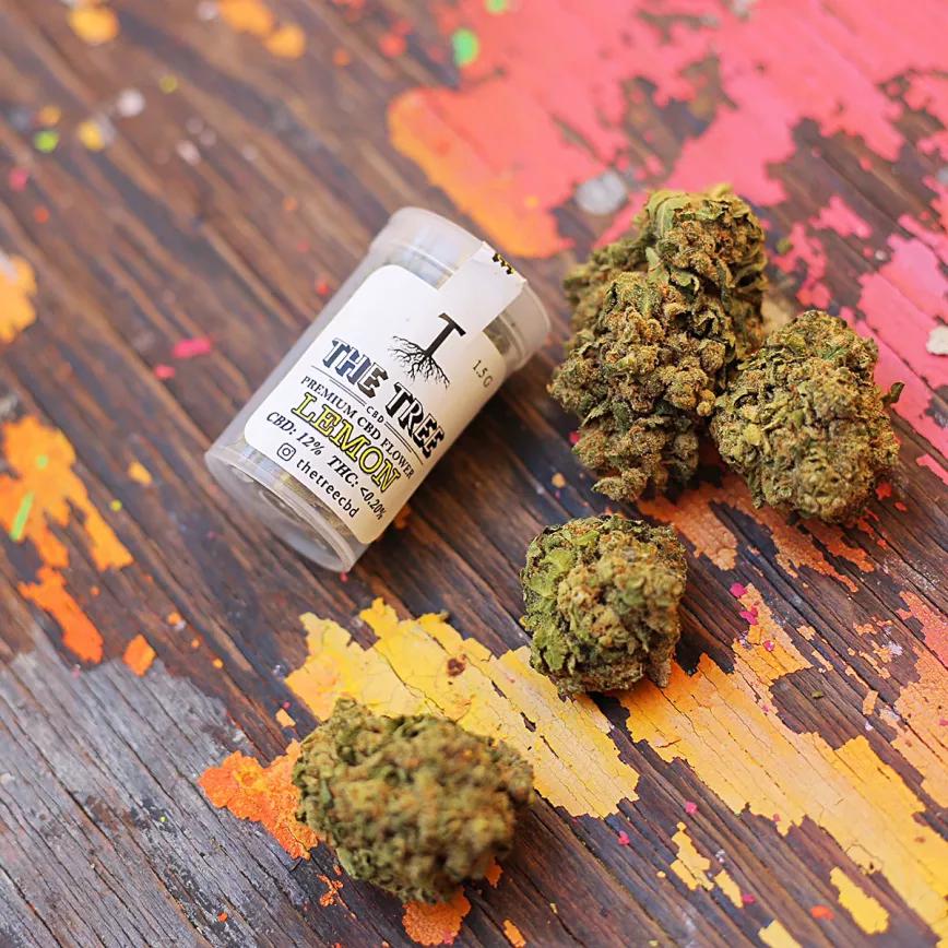 Imagen sin descripción