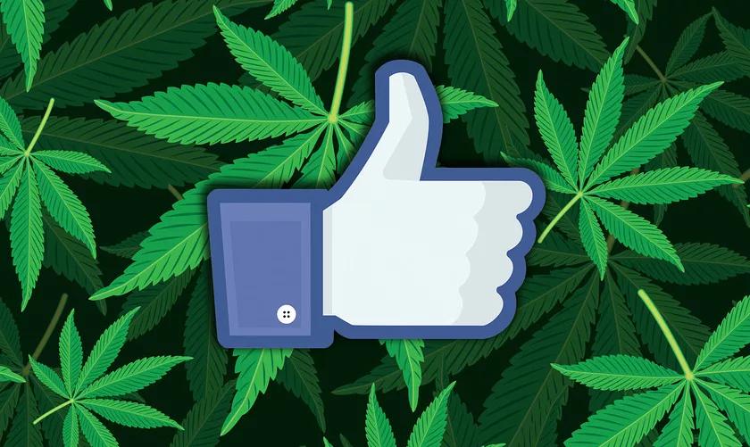 Imagen sin descripción