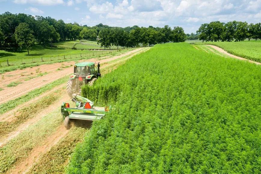 Imagen sin descripción