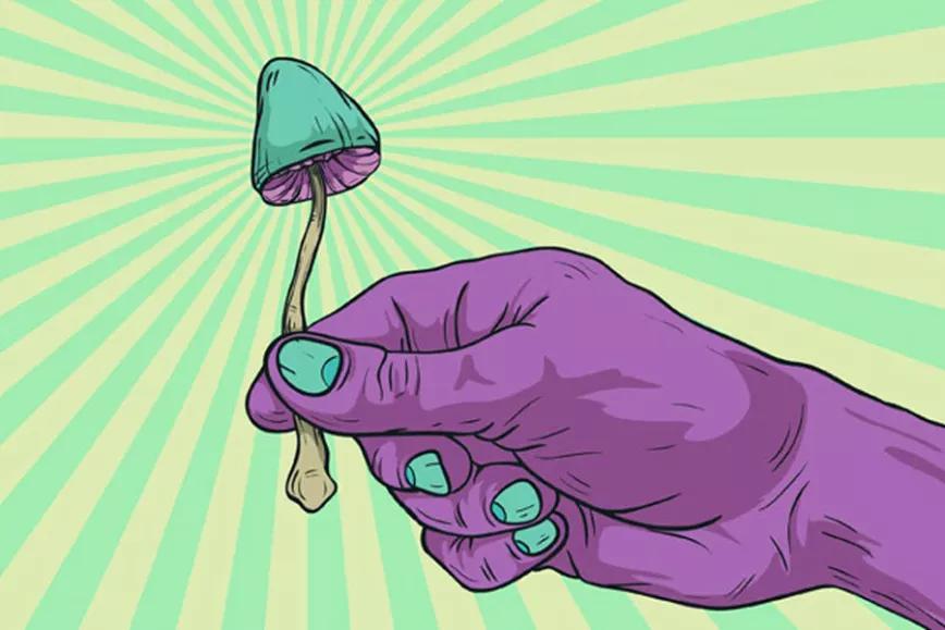 Imagen sin descripción