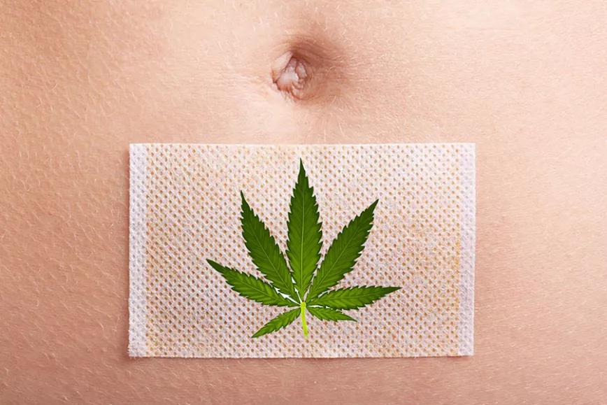 Imagen sin descripción