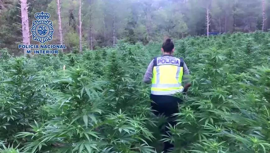 Imagen sin descripción